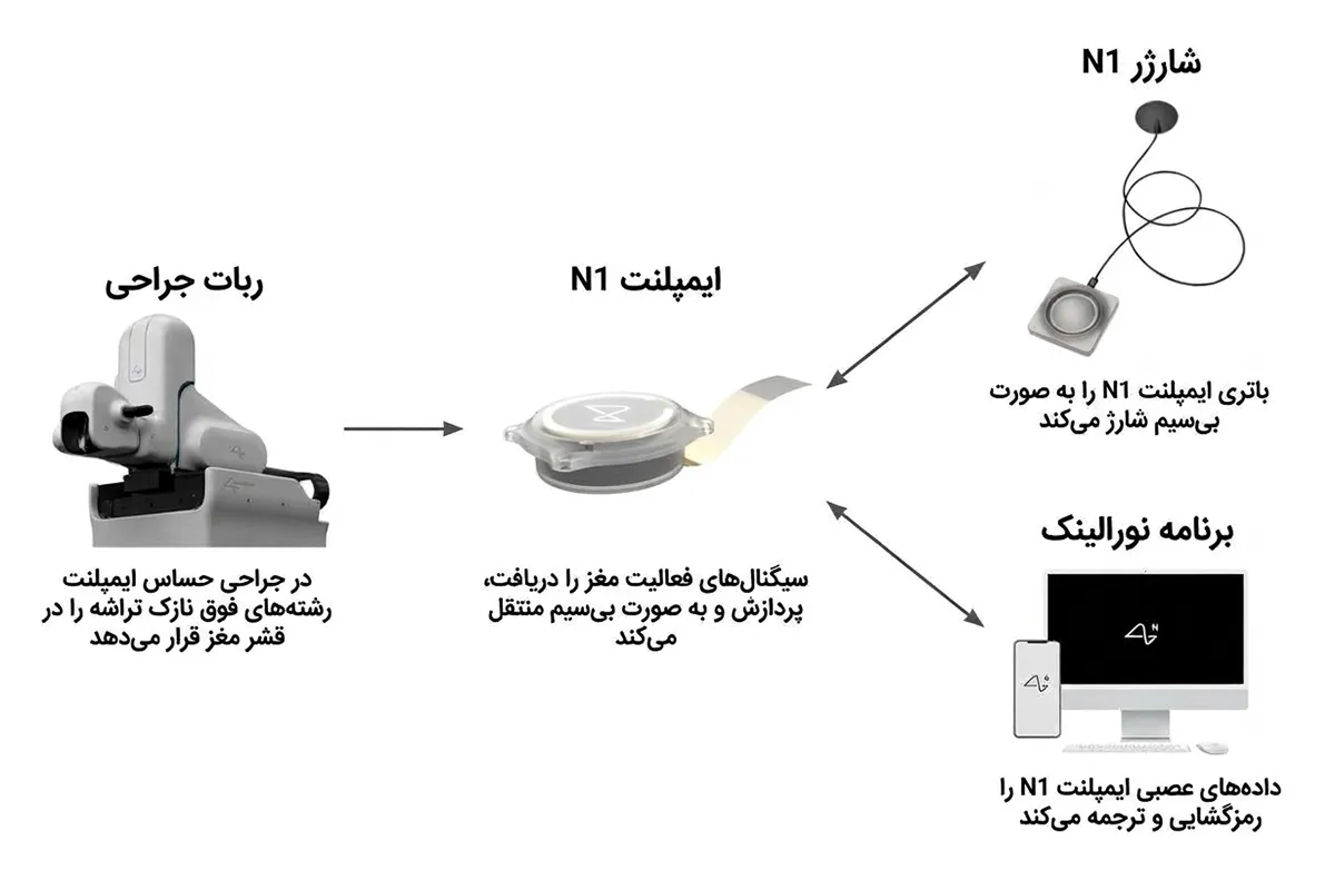 2_2.jpg - Copy