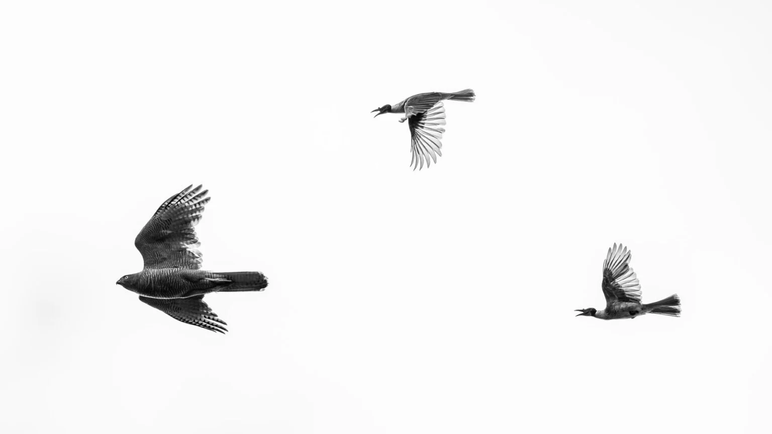 04-Go-Away-1536x864-1
