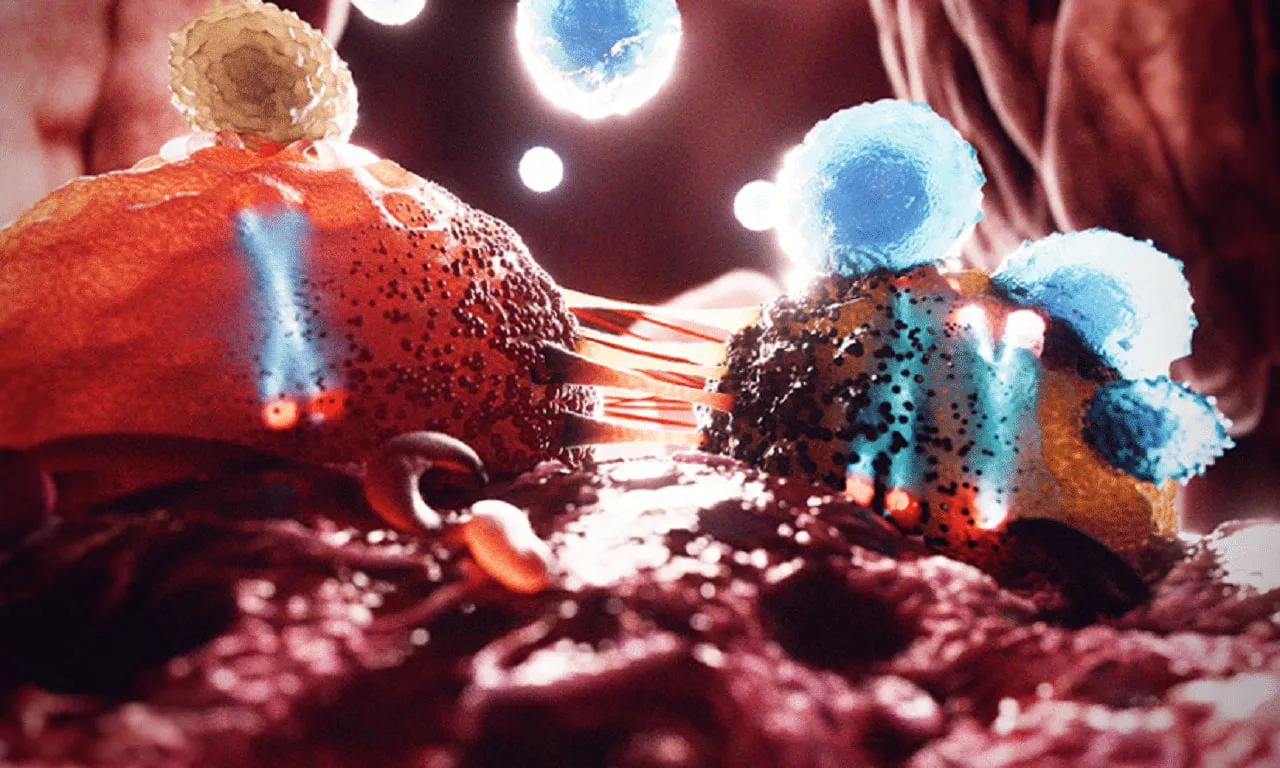 Y-chromosome-cancer.jpg