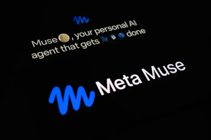 Meta-Muse-1.jpg