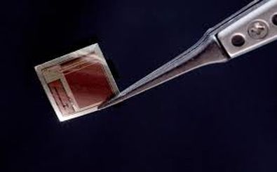 ایمپلنت مغزی به اندازه یک تمبر که افکار بیماران را با هوش مصنوعی رمزگشایی می‌کند