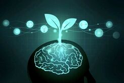 آیا تحصیلات در ابتلا به زوال عقل تاثیر دارد؟