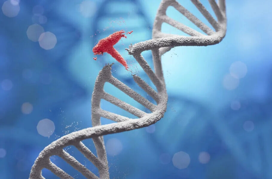 دستاورد جدید دانشمندان؛ ابزار اصلاح ژنتیک برای اولین‌بار DNA را داخل بدن ویرایش کرد