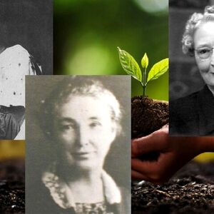 با سه زن ناجی گیاهان آشنا شوید