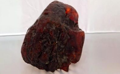 سنگی که ۳۰ سال به عنوان نگه‌دارنده در خانه استفاده می‌شد، گنج ۱ میلیون دلاری از آب درآمد