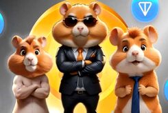 چگونه کیف پول را به همستر کامبت متصل کنیم؟