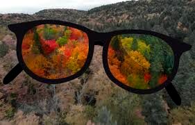 کوررنگ‌ها جهان را چگونه می‌بینند؟/ ویدئو