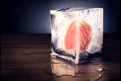 محققان چینی مغز منجمدشده انسان را دوباره زنده کردند