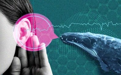 با هوش مصنوعی می‌توان با حیوانات حرف زد