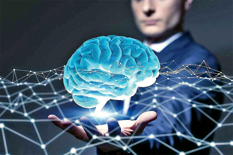 انسان برای زنده ماندن به چه مقدار از مغز خود نیاز دارید؟