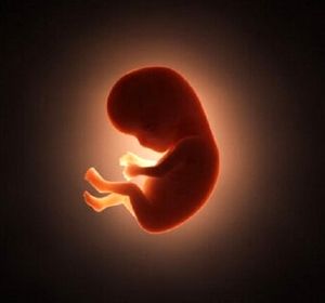 سقط جنین از نگاه مردان؛ روایتی کمتر شنیده‌شده