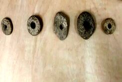 کشف روش‌های ماهی‌گیری متعلق به ۱۲ هزار سال قبل