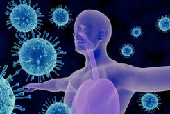 تحقیق جدید: توجه به احساسات بدن می‌تواند پاسخ ایمنی و شدت التهاب را تغییر دهد