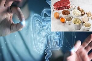 تاثیر شگفت‌آور یک ماده موجود در غذاهای پروتئینی‌ بر ترمیم روده