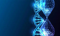 ژن‌ها عامل پیری و جوانی شدند 