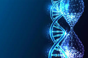 ژن‌ها عامل پیری و جوانی شدند 