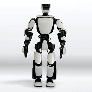 اجرای حرکت «لگد پرشی» به شکم یک پسربچه توسط یک ربات/ ویدئو