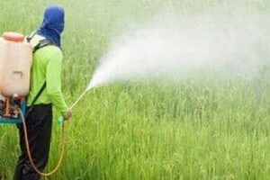 اثر سم در برخی آفات تا سه نسل ادامه دارد