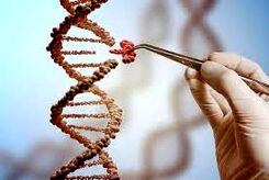 ابداع اولین داروی ترمیم DNA و بازسازی بافت آسیب‌دیده 