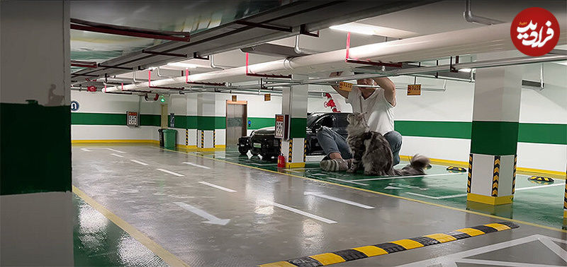 miniature-metro-system-xings-world-first-feline-passengers-cat-town-designboom-06