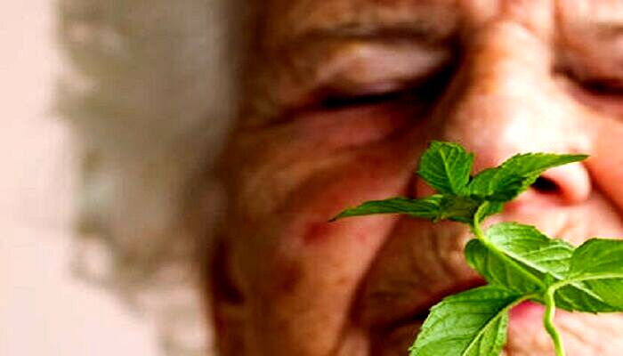 بوی نعنا می تواند به درمان آلزایمر کمک کند