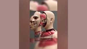 تغییر چهره واقعی فقط با ۱۲۸ میلیارد تومان/ ویدئو