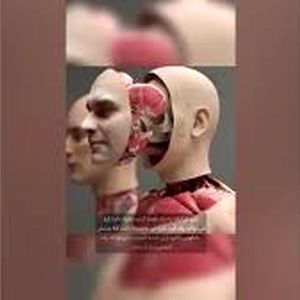 تغییر چهره واقعی فقط با ۱۲۸ میلیارد تومان/ ویدئو