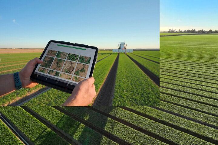 هوش مصنوعی مزرعه‌دار