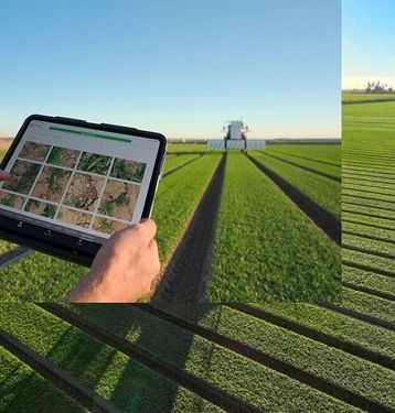 هوش مصنوعی مزرعه‌دار