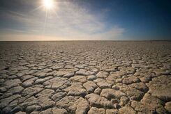 تابستان ۲۰۲۳ گرم‌ترین فصل در دو هزار سال گذشته بوده است