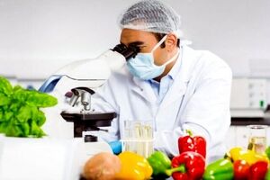 ساخت نانوحسگری که سلامت غذا را در ۱۵ دقیقه آزمایش می‌کند