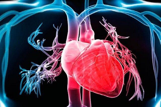 آموزش بیمار به بیمار؛ تجربه‌ای موفق در کنترل نارسایی قلبی