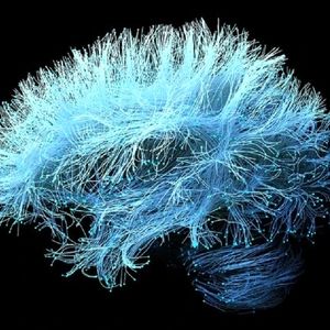 رقیب جدید نورالینک با امواج فراصوت وارد میدان شد