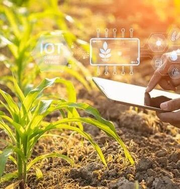 هوش مصنوعی چگونه می‌تواند کمبود نیروی کار کشاورزی را جبران کند؟