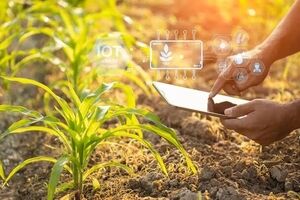 هوش مصنوعی چگونه می‌تواند کمبود نیروی کار کشاورزی را جبران کند؟