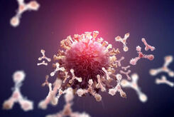 چرا زنان ۹ برابر بیشتر از مردان به لوپوس مبتلا می‌شوند؟ 