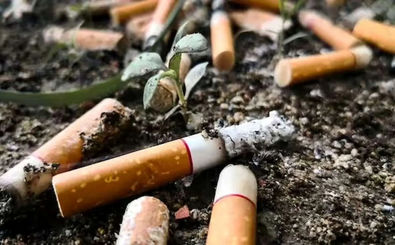 وقتی ته سیگار، آینه بی‌مسئولیتی می‌شود