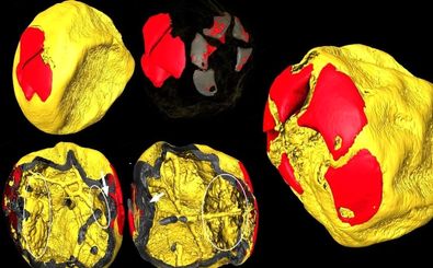 جنین‌های فسیل شده‌ای که «نیم‌میلیاردسال» قدمت دارند 