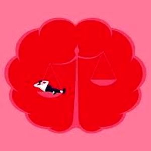 کشف ریشه‌های عصب‌شناختی بی‌انگیزگی؛ چرا مغز می‌گوید «حوصله ندارم»