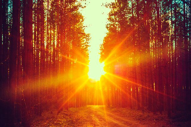 دستاوردی که می‌تواند معادلات ذخیره‌سازی و حمل انرژی خورشیدی را دگرگون کند