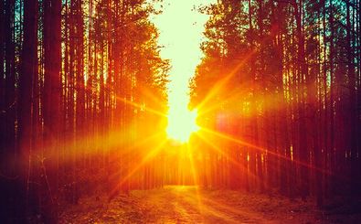 دستاوردی که می‌تواند معادلات ذخیره‌سازی و حمل انرژی خورشیدی را دگرگون کند