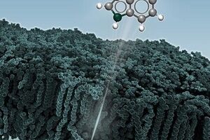 هوش مصنوعی در رویارویی با یکی از خطرناک‌ترین باکتری‌ها!