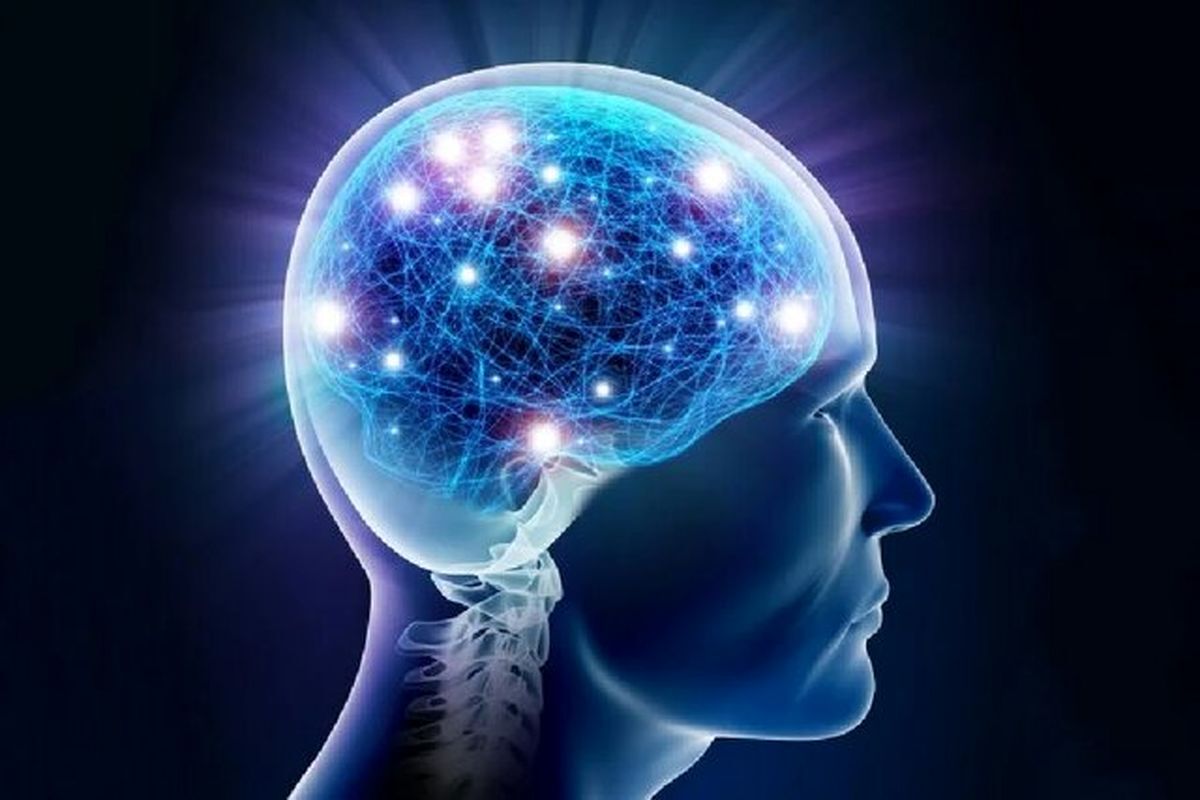 آیا «هوش» ارثی است؟ 