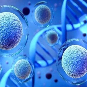 اعطای مدال طلای فستیوال اختراعات سیلیکون‌ولی به محصولات ایرانی مراقبت از پوست