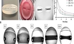 محقق ایرانی موفق به ابداع «بافت سه‌بعدی قلب» شد