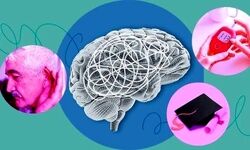 علم برای پیشگیری از زوال عقل چه پیشنهادی دارد؟