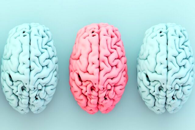 ارتباط شگفت‌انگیز میان یک ماده مغذی کلیدی، چاقی و خطر آلزایمر