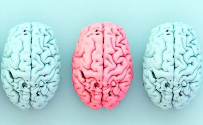 ارتباط شگفت‌انگیز میان یک ماده مغذی کلیدی، چاقی و خطر آلزایمر