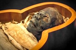 مومیایی 3300 سالۀ مصری «طاعون‌زده» از آب درآمد