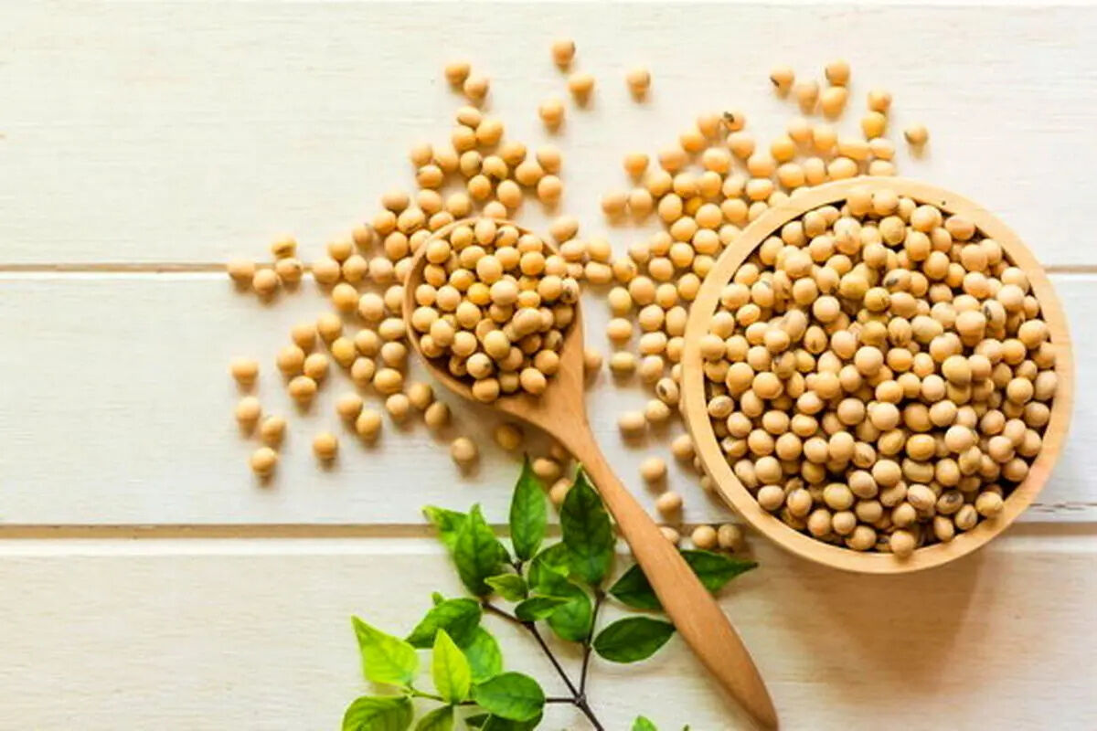 در مصرف سویا احتیاط کنید 
